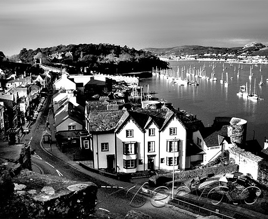 出色的手机号验证码轰炸免费